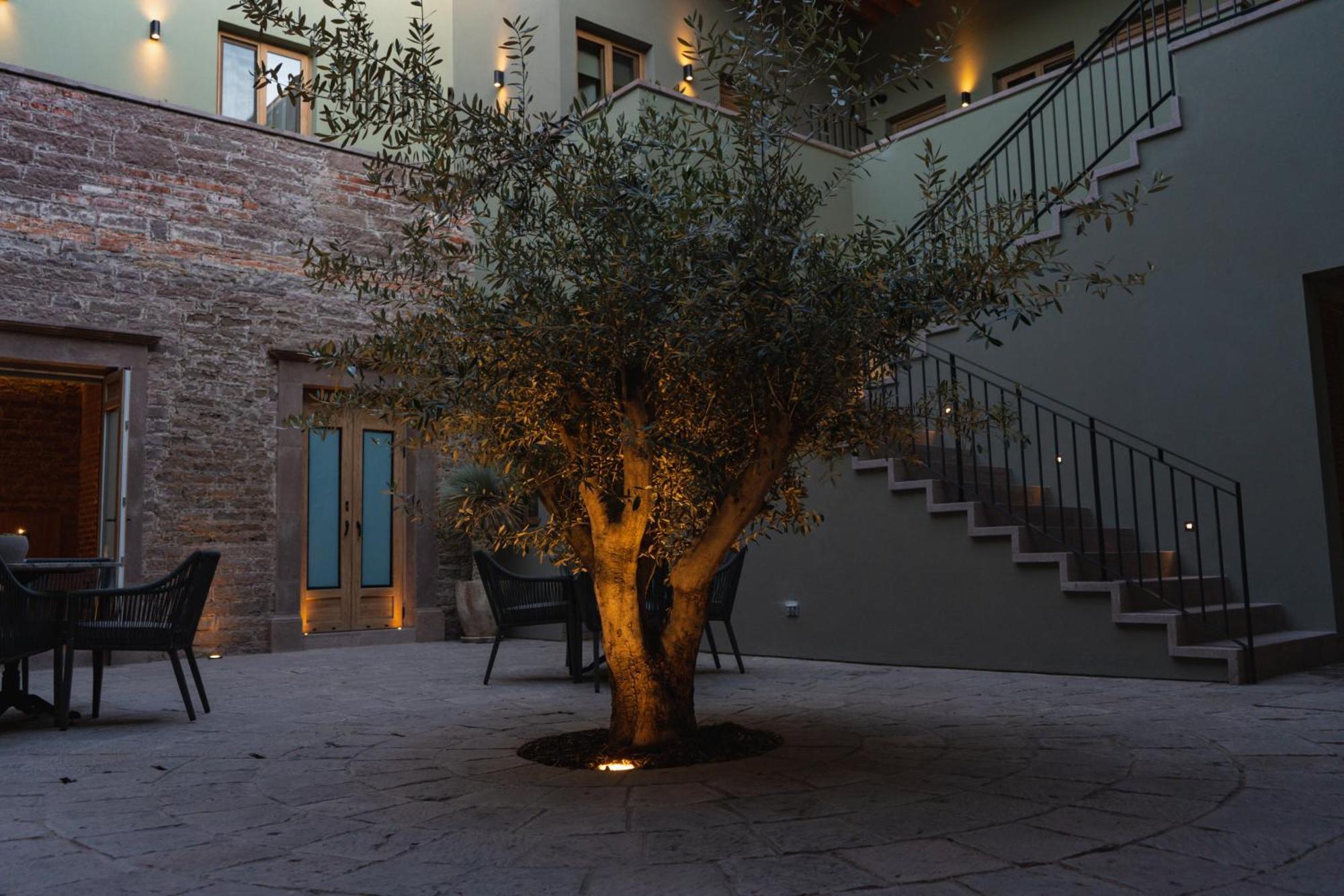 Hotel Casa Aranzazu Сан-Луис-Потоси Экстерьер фото